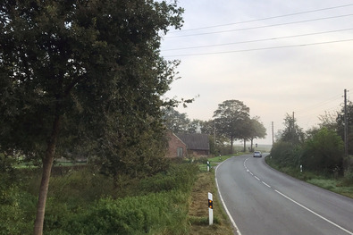 Entlang der Netterdenschen Straße soll ein Radweg entstehen. Dafür müssen jetzt einige Bäume weichen.